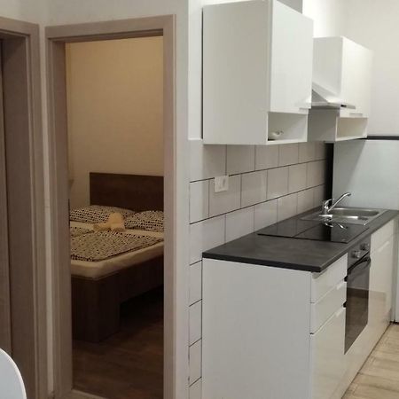 Appartma Katja Gabrovica pri Črnem Kalu Exteriér fotografie